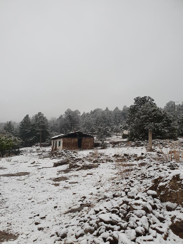 En plena primavera nevada sorprende a chihuahuenses en El Vergel