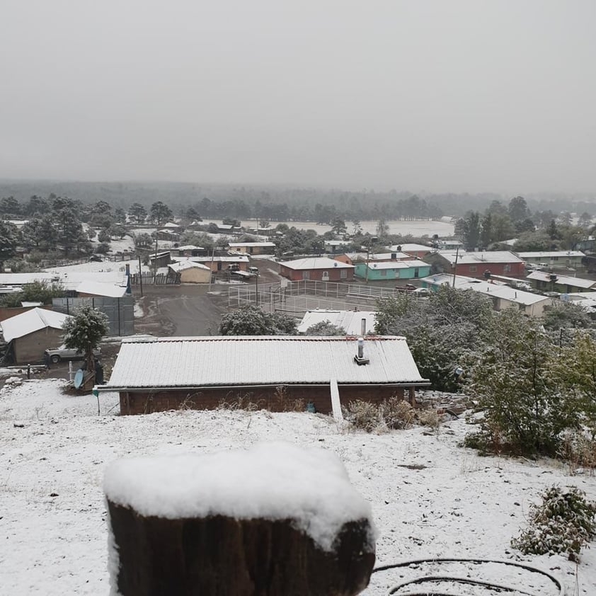 En plena primavera nevada sorprende a chihuahuenses en El Vergel