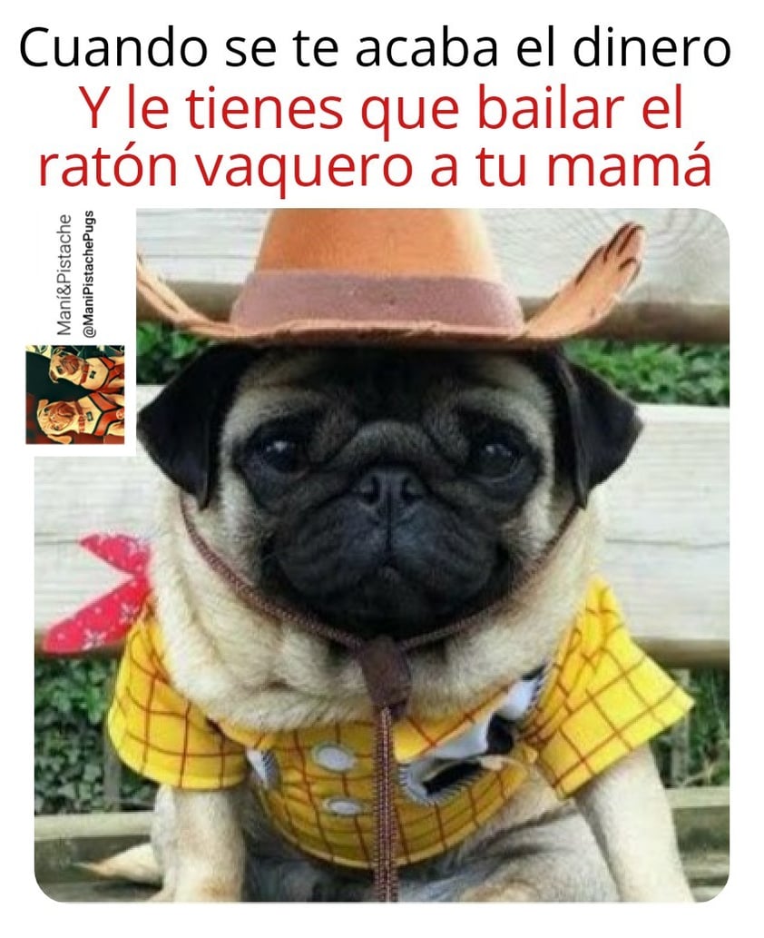 Se disparan los memes de 'El Ratón Vaquero' en este Día de las Madres