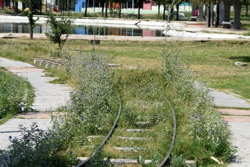 Maleza. En el Bosque Urbano abunda la maleza. Diversas áreas se ven descuidadas y se observa que el césped no ha sido podado en los últimos meses.