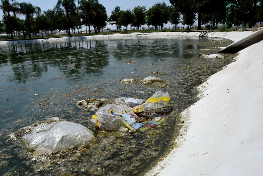 Aguas verdes. El pequeño lago de los patos se observa en pésimas condiciones. Generalmente se acumula la basura en los alrededores y el agua es verde y lamosa, lo que impide que las aves tengan una buena calidad de vida.