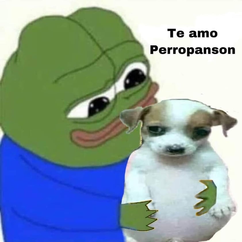 'Todo chiquito, todo panzón'; el meme del perrito que 'cautiva' en la red