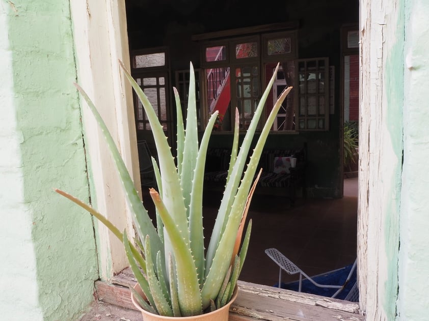 La Casona Abasolo de Torreón