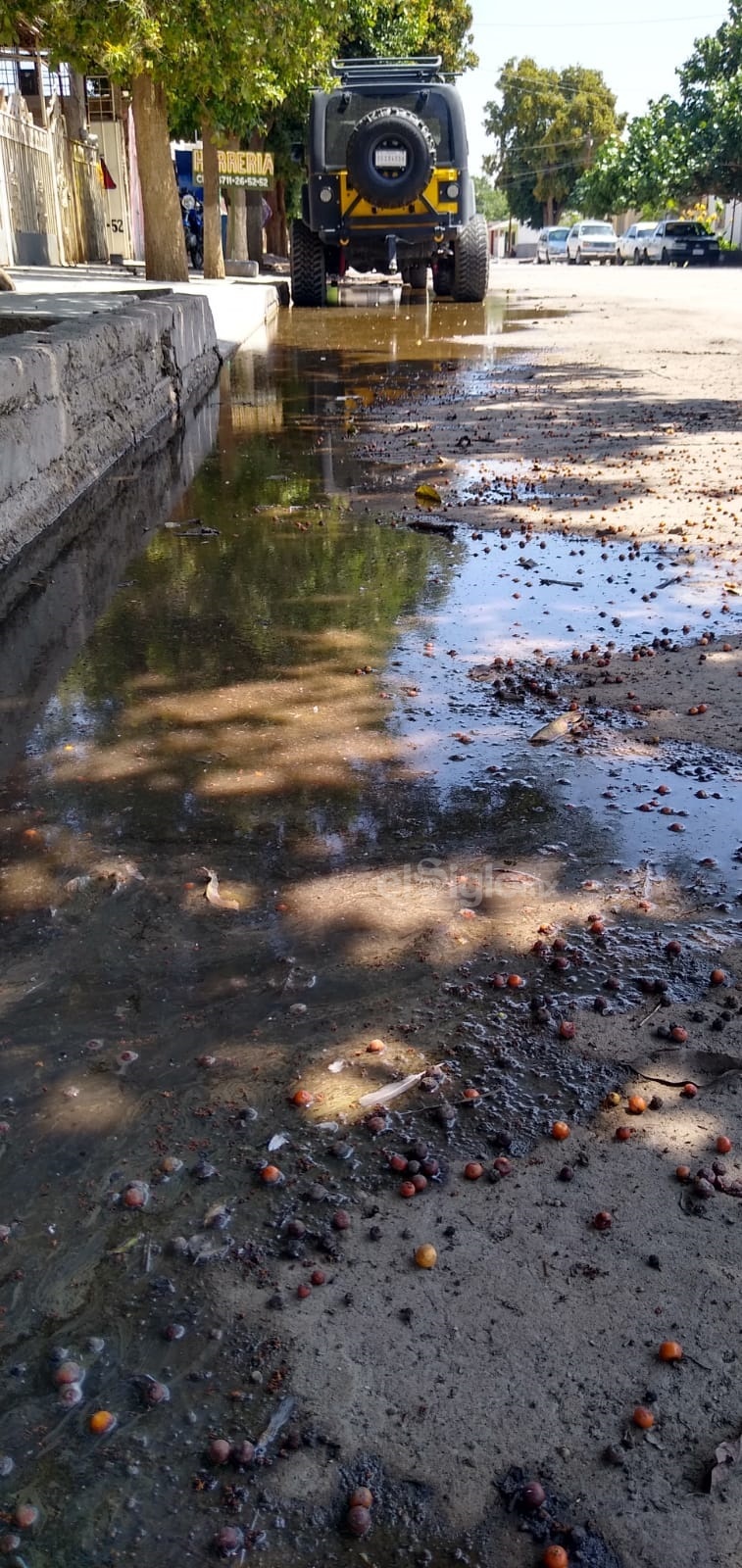 Mal olor. Se presenta mal olor en la calle J. Manuel Reyes Valenzuela donde en un día normal por casi 100 metros se encuentra colapsado el drenaje.