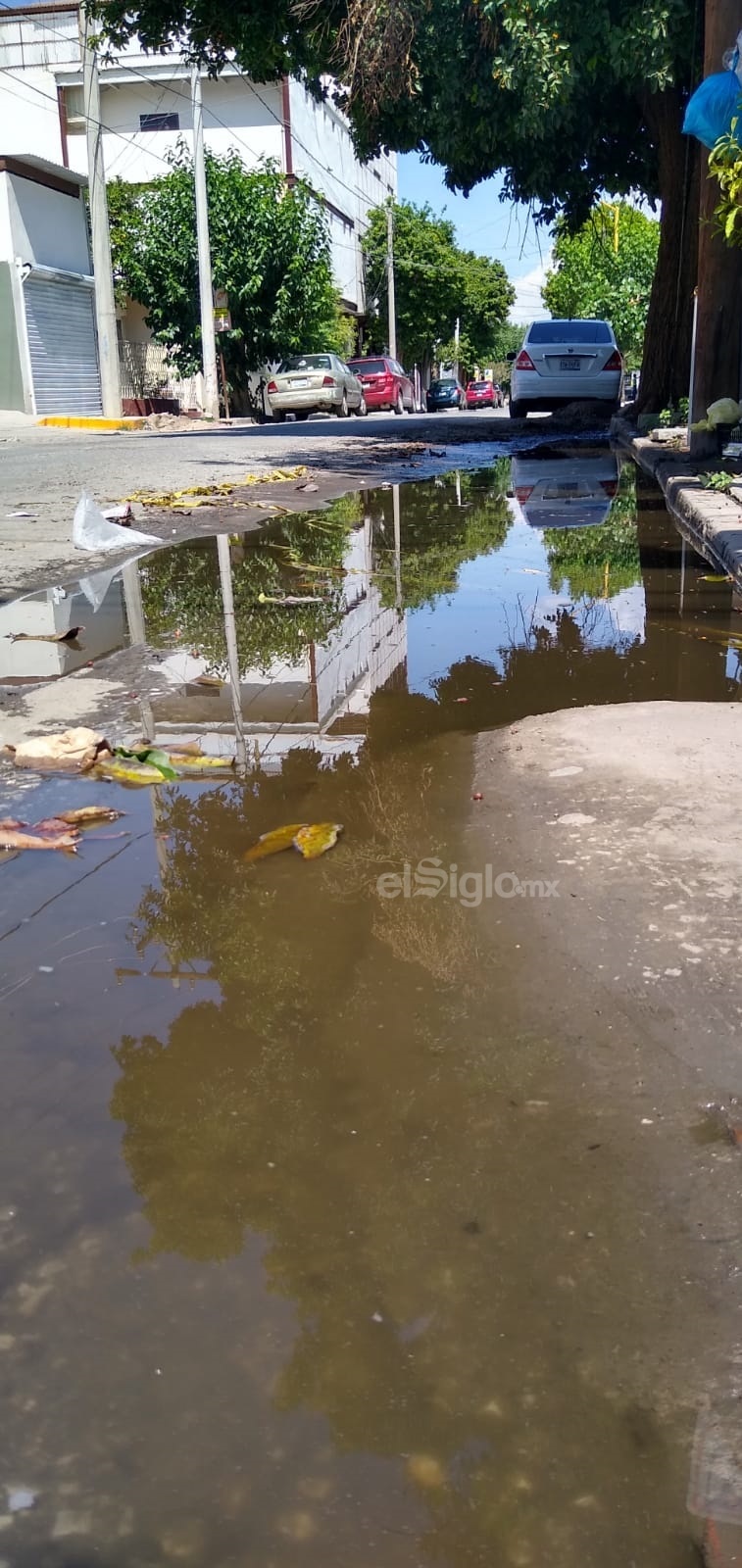 Más aguas negras. Matamoros y Guerrero es otro punto donde suele haber brotes de aguas negras que además dan muy mal aspecto a la ciudad. Se encuentra solo a unas cuadras de la presidencia municipal.