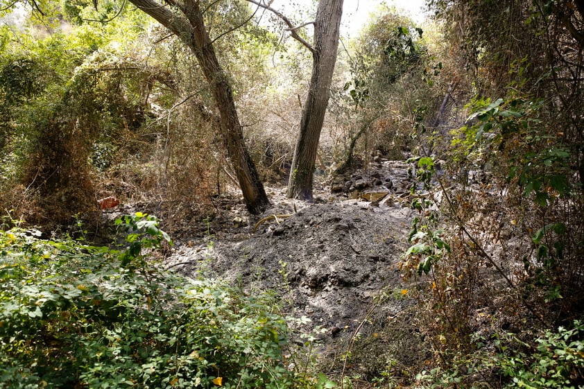 Cinco personas han muerto por incendios en sur de Italia