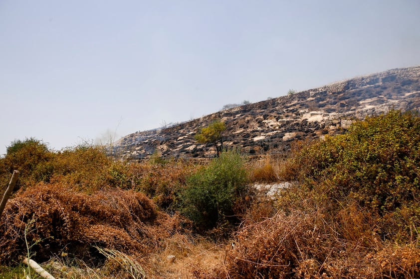 Cinco personas han muerto por incendios en sur de Italia