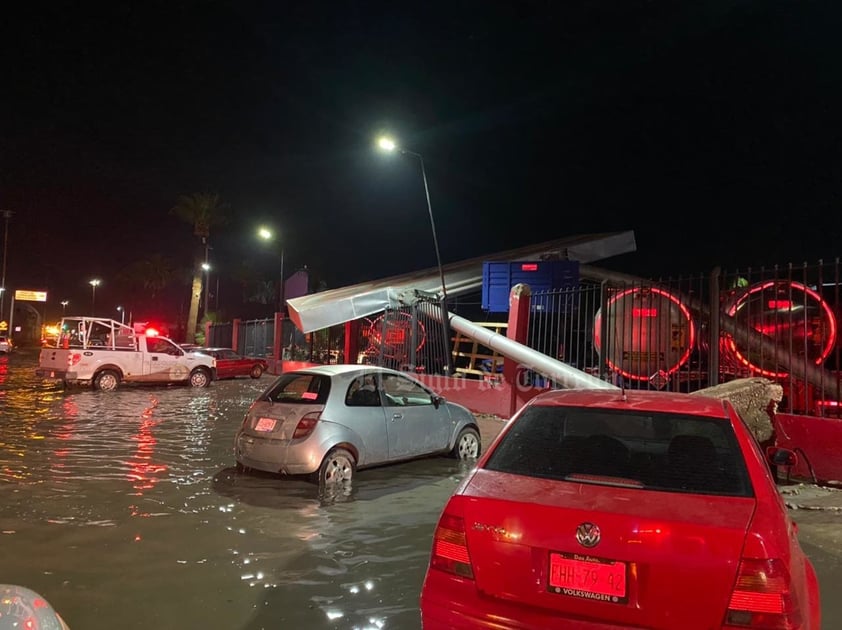 Protección Civil de Gómez Palacio reporta cerca de 10 árboles caídos por la lluvia