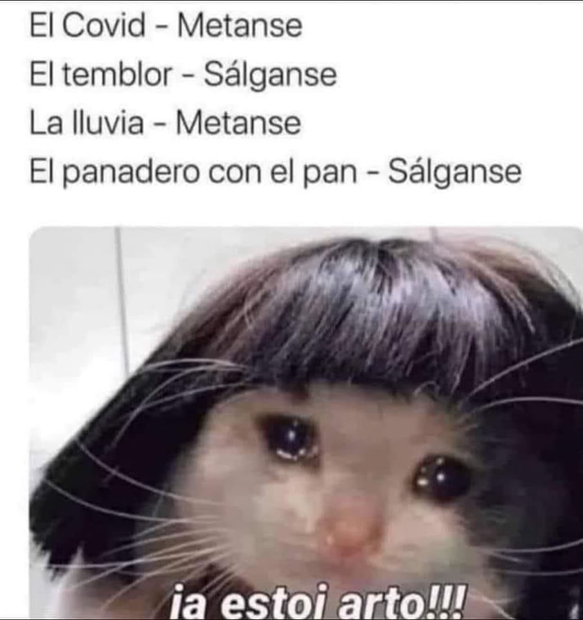 Llegan los memes para 'calmar' el susto por el sismo que sacudió a la CDMX