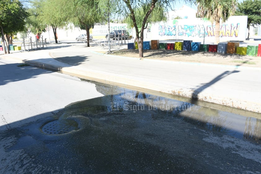 Agua sucia. No es inusual observar brotes de agua putrefacta desde las alcantarillas que se encuentran a un costado de la Línea Verde.