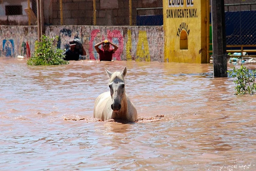 Tras paso de 'Pamela' en Nayarit reportan al menos dos desaparecidos e inundaciones