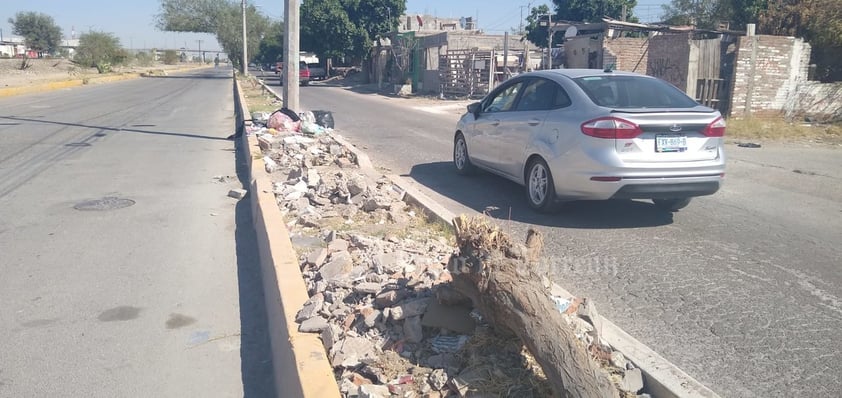 Escombro. Gran parte del camellón central, donde había palmeras, está lleno de escombro y troncos. Así lleva mucho tiempo.