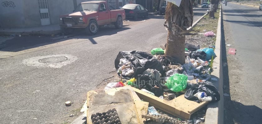 Basura en plantas y árboles. Los árboles que aún quedan están rodeados en su base por bolsas con comida agusanada, pedazos de muebles, escombro y demás, lo que da muy mal aspecto a la ciudad, aseguran los vecinos de colonias aledañas.