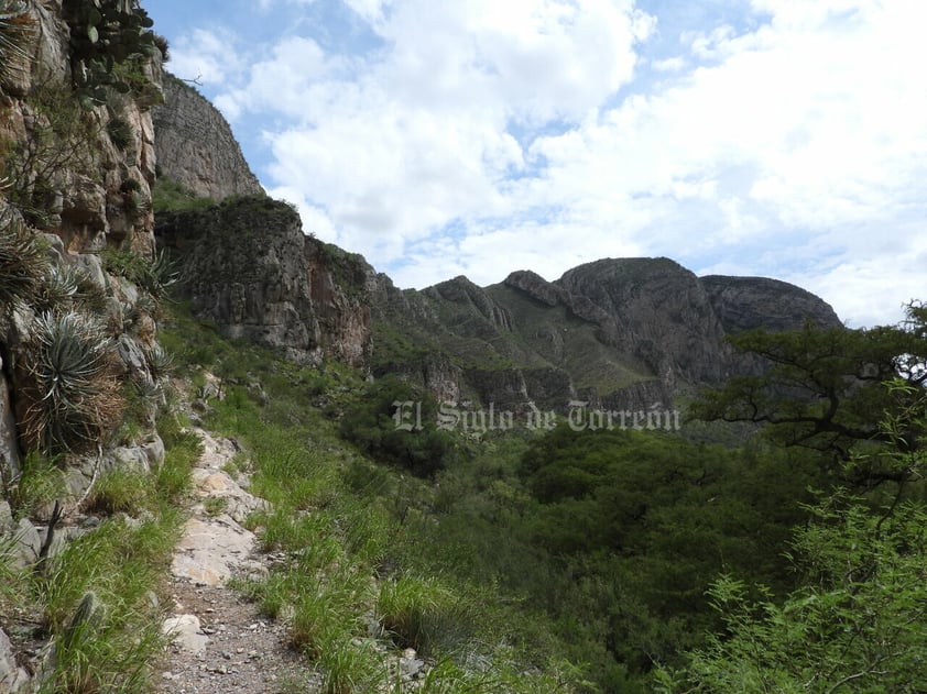 Imágenes del patrimonio natural más importante de La Laguna han sido reunidas en un libro gracias a la asociación Va por el Cañón de Fernández. En ellas se aprecian diversas especias de flora y fauna.