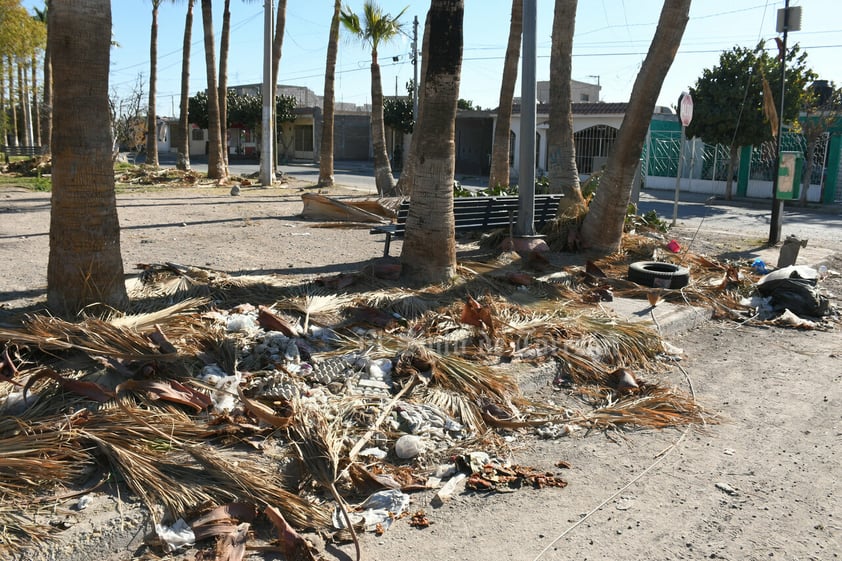 Plaza principal en Prados del Oriente, tiradero de ramas y basura