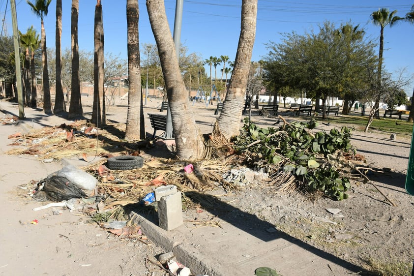 Plaza principal en Prados del Oriente, tiradero de ramas y basura