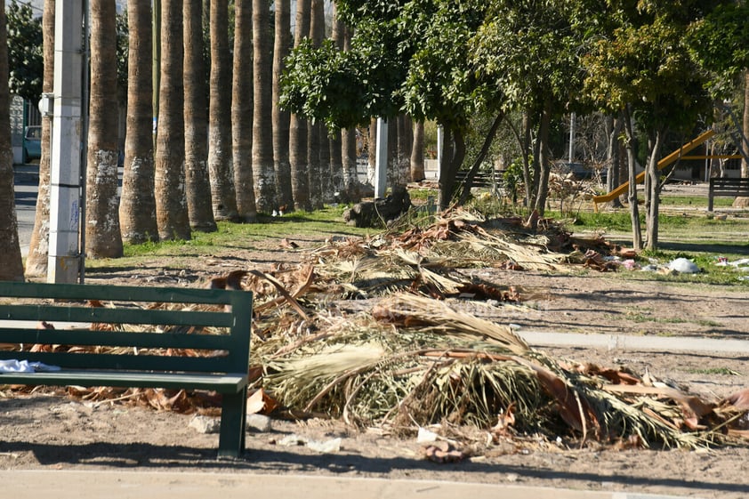 Plaza principal en Prados del Oriente, tiradero de ramas y basura