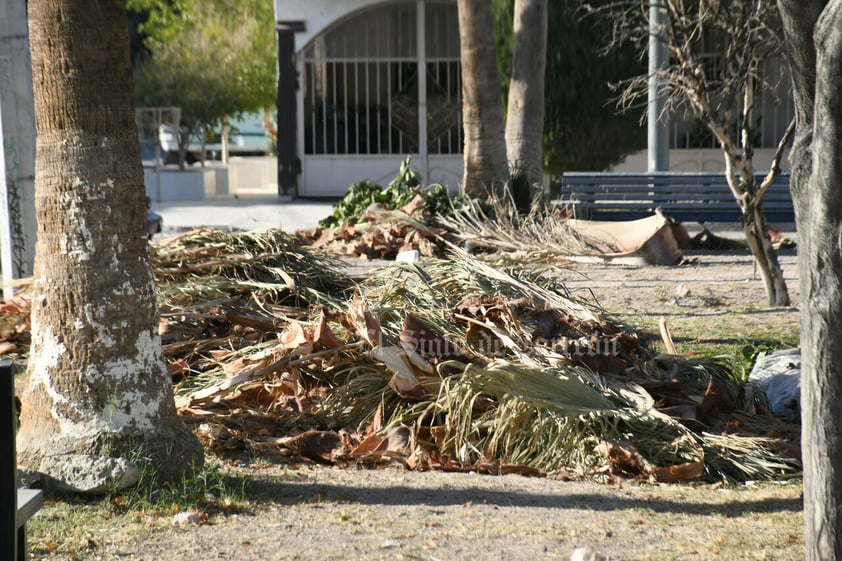 Plaza principal en Prados del Oriente, tiradero de ramas y basura