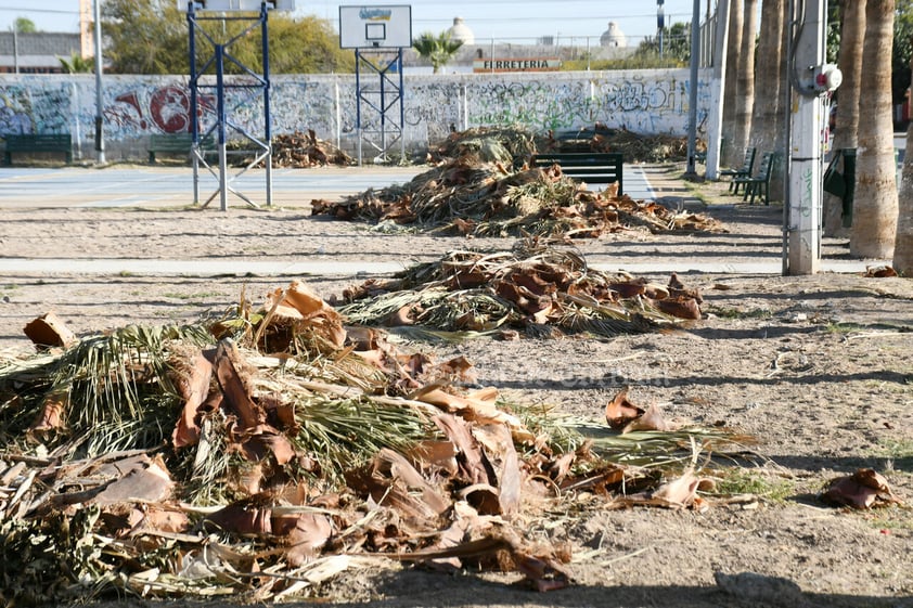 Plaza principal en Prados del Oriente, tiradero de ramas y basura