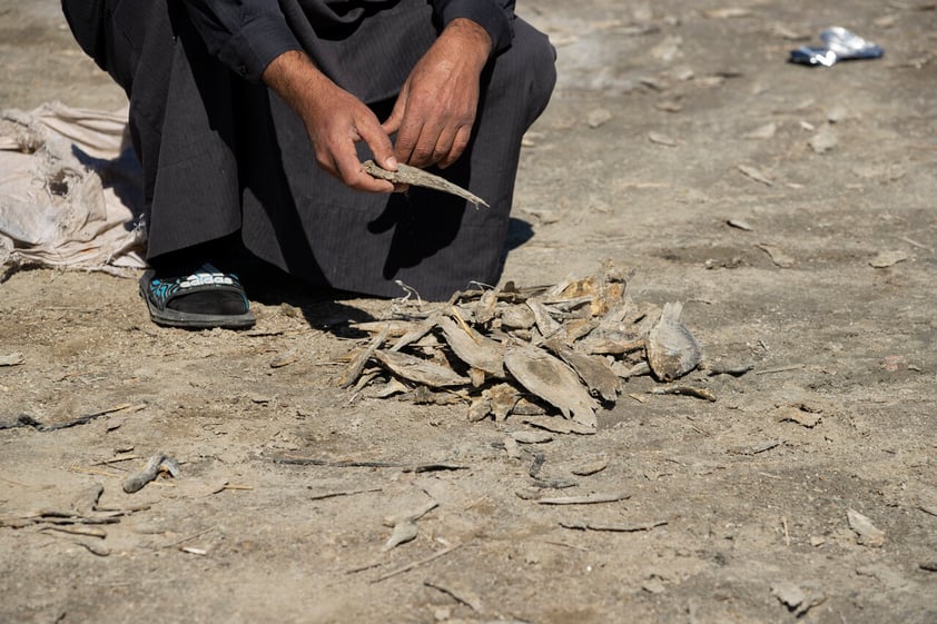 Segundo lago más grande de Irak se seca por crisis de agua