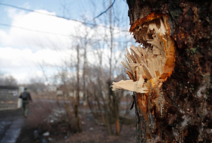 Luhansk (Ukraine), 23/02/2022.- A view of a damaged tree in the Vibrovka village after shelling not far from the pro-Russian militants controlled city of Luhansk, Ukraine, 23 February 2022. Russia on 21 February 2022 recognized the eastern Ukrainian self-proclaimed breakaway regions as independent states and ordered the deployment of peacekeeping troops to the Donbas, triggering an expected series of economic sanctions announcements by Western countries. (Rusia, Ucrania) EFE/EPA/ZURAB KURTSIKIDZE