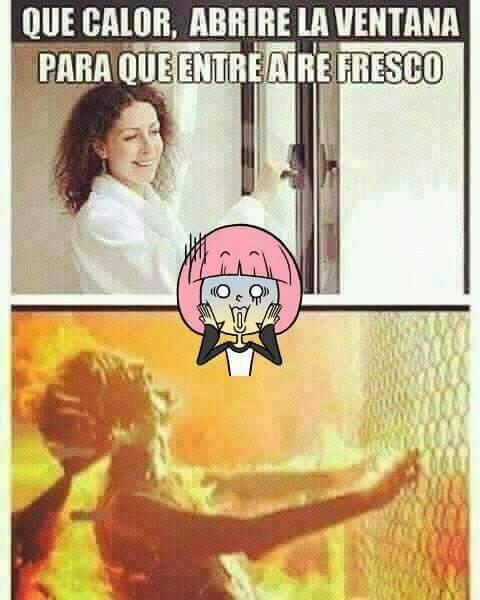 Usuarios combaten el calor de La Laguna con memes