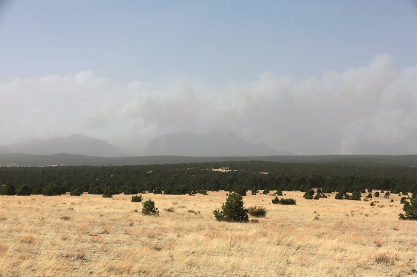 Incendios forestales arden desde Arizona hasta Florida