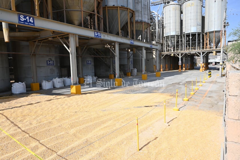 Derrumbe de silo con alimento para ganado en Torreón