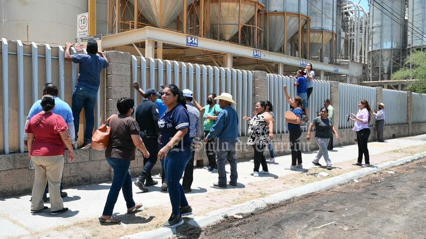 Derrumbe de silo con alimento para ganado en Torreón