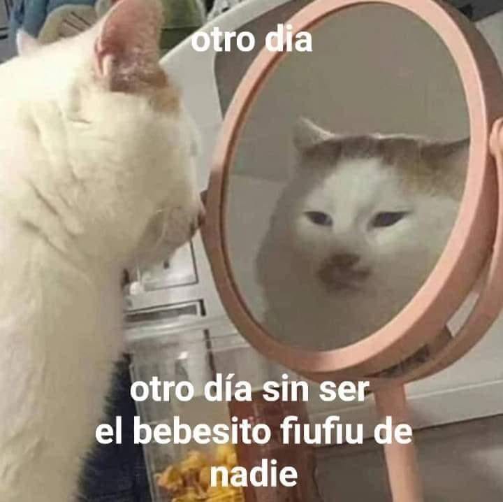 'Mi bebito fiu fiu' se llena de memes