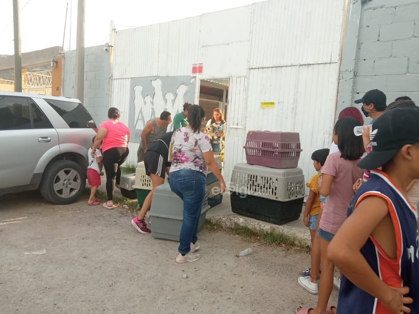 Pese a amparo, desalojan albergue canino Ama en Lerdo