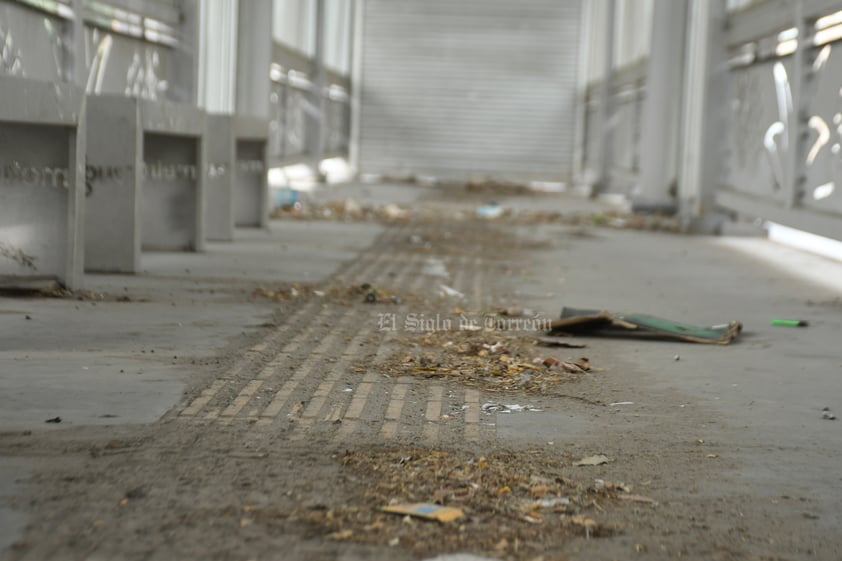 Las paradas del Bus Laguna ya se utilizan como tiraderos de basura.