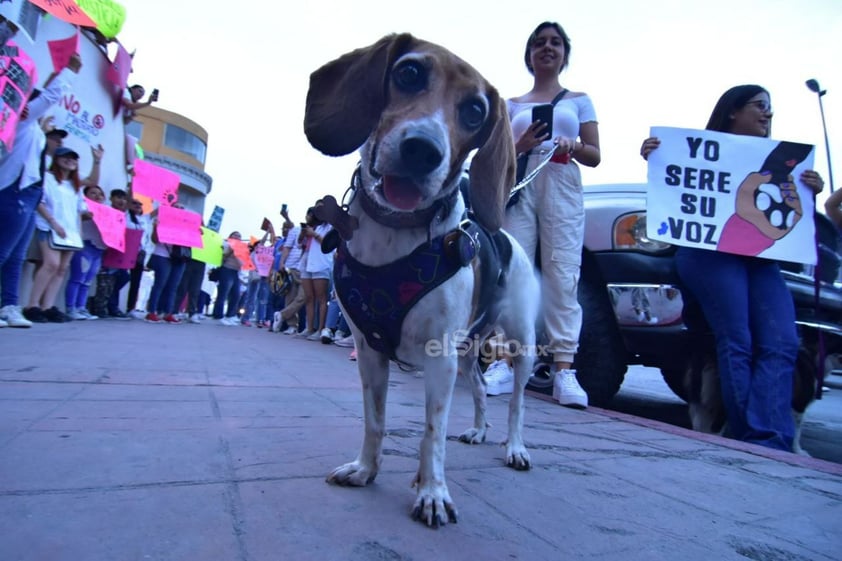 Protestan contra bomberos asesinos de perros en Monclova