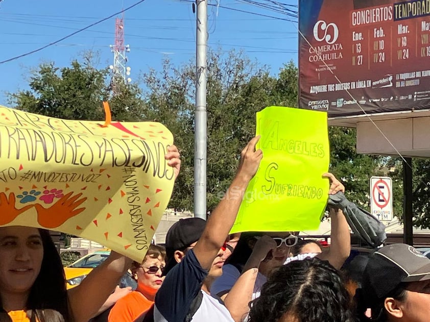 Marchan en Torreón para exigir que se endurezcan penas por maltrato y crueldad animal