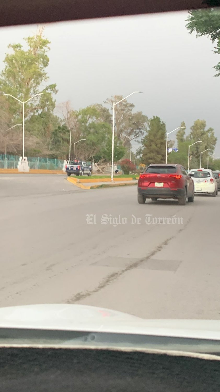 Fuertes vientos, de hasta 60 kilómetros por hora, acompañados de tolvanera, se registraron la tarde del domingo 28 de mayo en La Laguna, ocasionando caída de árboles, daños a vehículos y el fallecimiento de un motociclista, derivado de un cortocircuito por cables reventados.