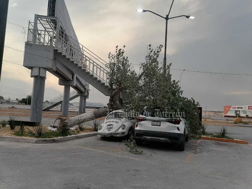 Fuertes vientos, de hasta 60 kilómetros por hora, acompañados de tolvanera, se registraron la tarde del domingo 28 de mayo en La Laguna, ocasionando caída de árboles, daños a vehículos y el fallecimiento de un motociclista, derivado de un cortocircuito por cables reventados.