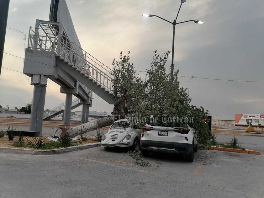 Fuertes vientos, de hasta 60 kilómetros por hora, acompañados de tolvanera, se registraron la tarde del domingo 28 de mayo en La Laguna, ocasionando caída de árboles, daños a vehículos y el fallecimiento de un motociclista, derivado de un cortocircuito por cables reventados.