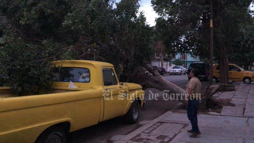 Fuertes vientos, de hasta 60 kilómetros por hora, acompañados de tolvanera, se registraron la tarde del domingo 28 de mayo en La Laguna, ocasionando caída de árboles, daños a vehículos y el fallecimiento de un motociclista, derivado de un cortocircuito por cables reventados.