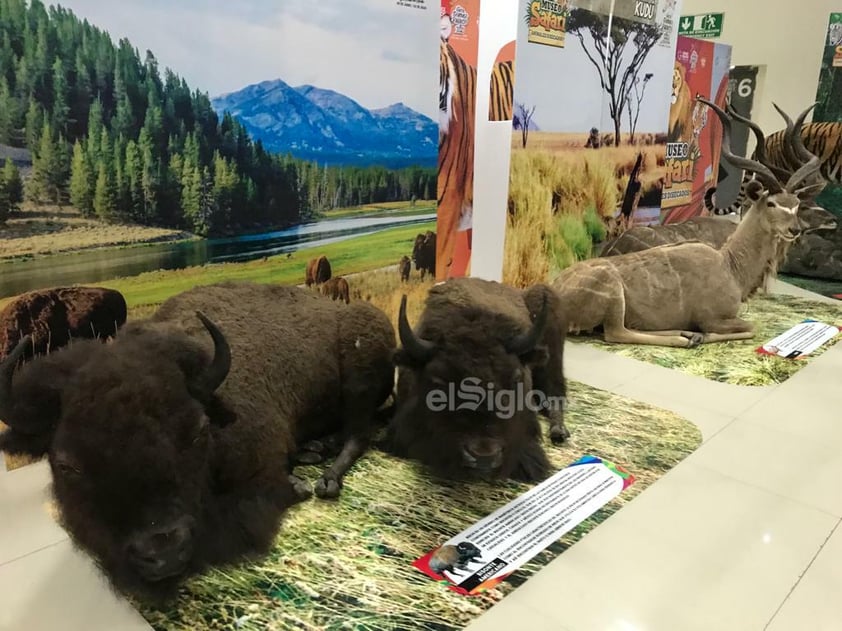 Inaguración de Feria Gómez Palacio 2023