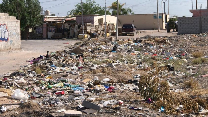 No esperan al camión recolector: En calle Abedul, de la colonia Los Agaves, los vecinos se quejan frecuentemente de que hay quienes van al lugar específicamente a tirar basura, aunque también son algunos colonos que no se esperan a que pase el camión recolector.