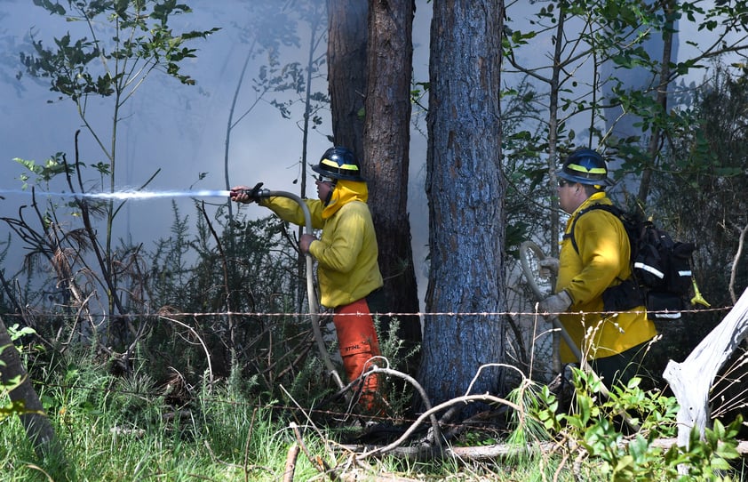 Mueren seis personas por incendios forestales en Hawái