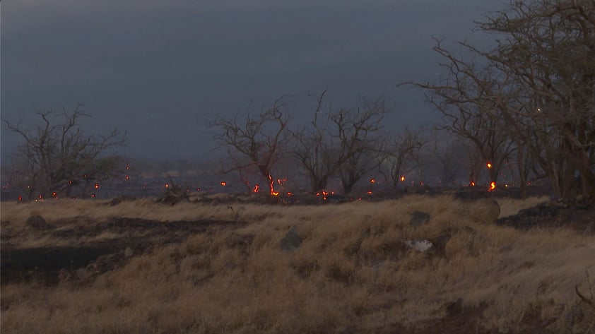 Por incendios, Estados Unidos declara zona de desastre en Hawái