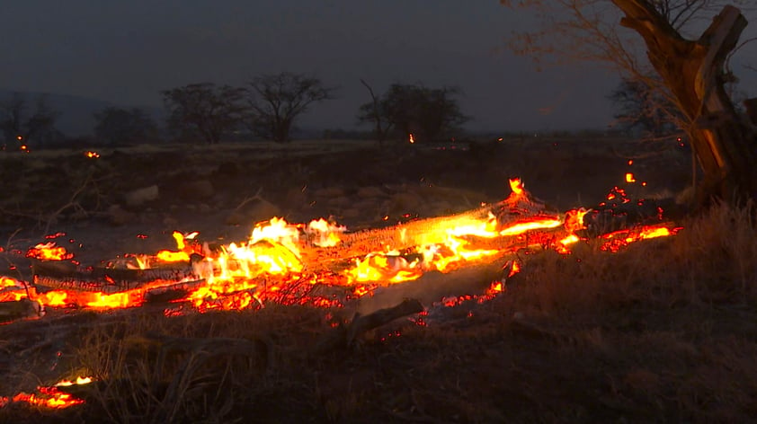 Por incendios, Estados Unidos declara zona de desastre en Hawái