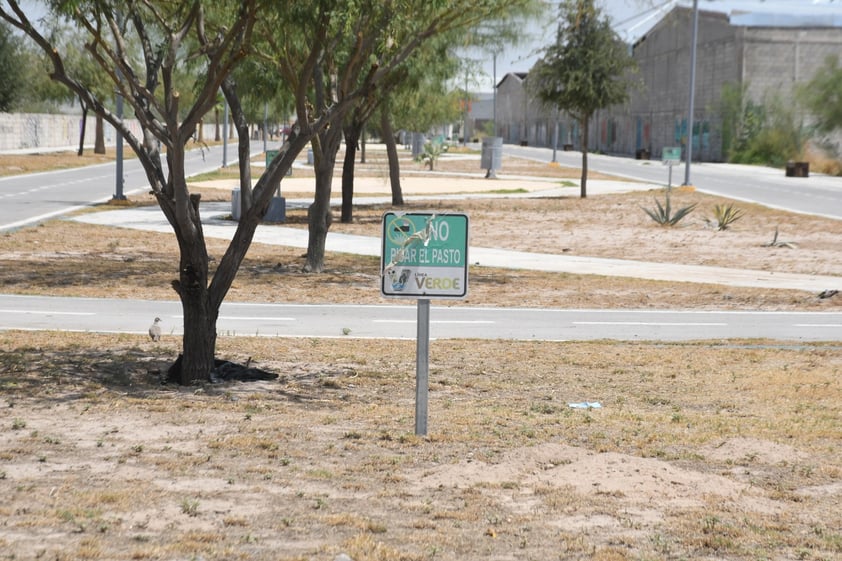 ¿Cuál pasto?

Una de las quejas de los paseantes de la Línea Verde es que ya no hay áreas verdes en el lugar, debido a la falta de atención de las autoridades.