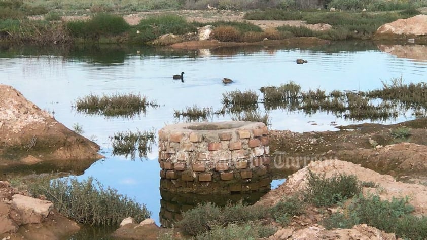 Tiene patos nadando en sus aguas.