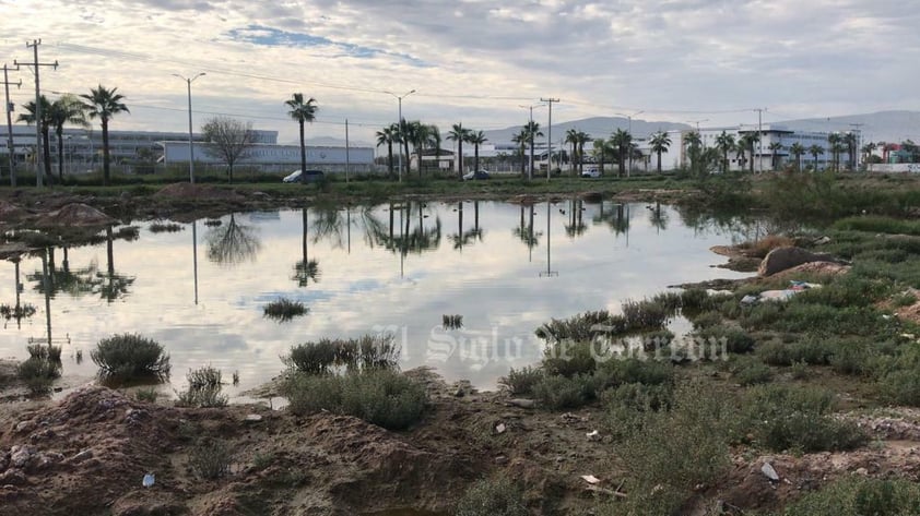 La acumulación de agua causó asombro.