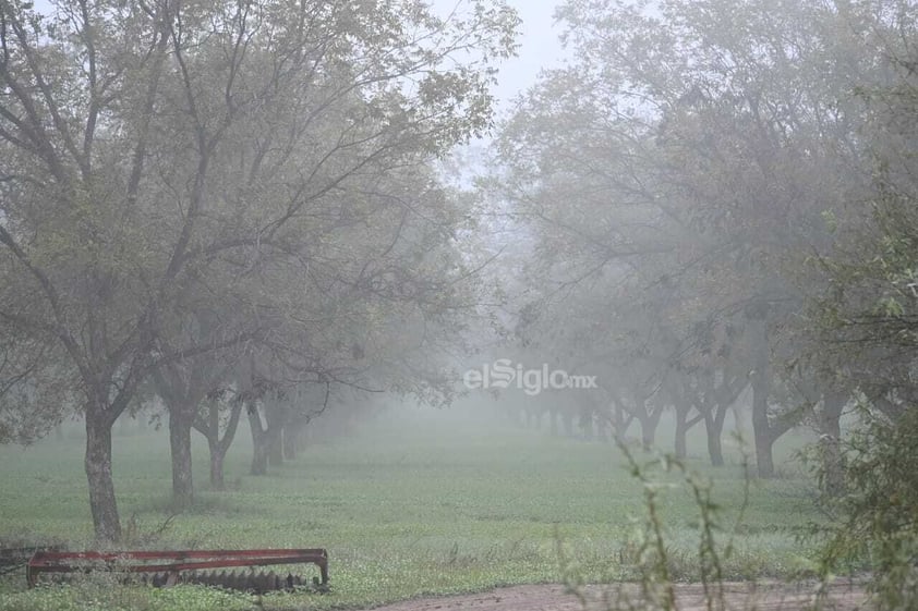 Neblina sorprende a laguneros