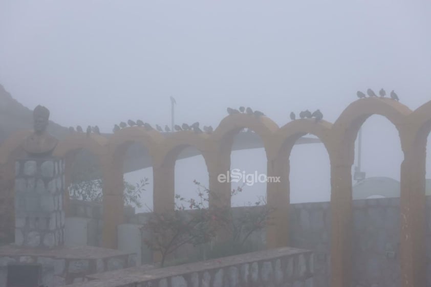 Neblina sorprende a laguneros