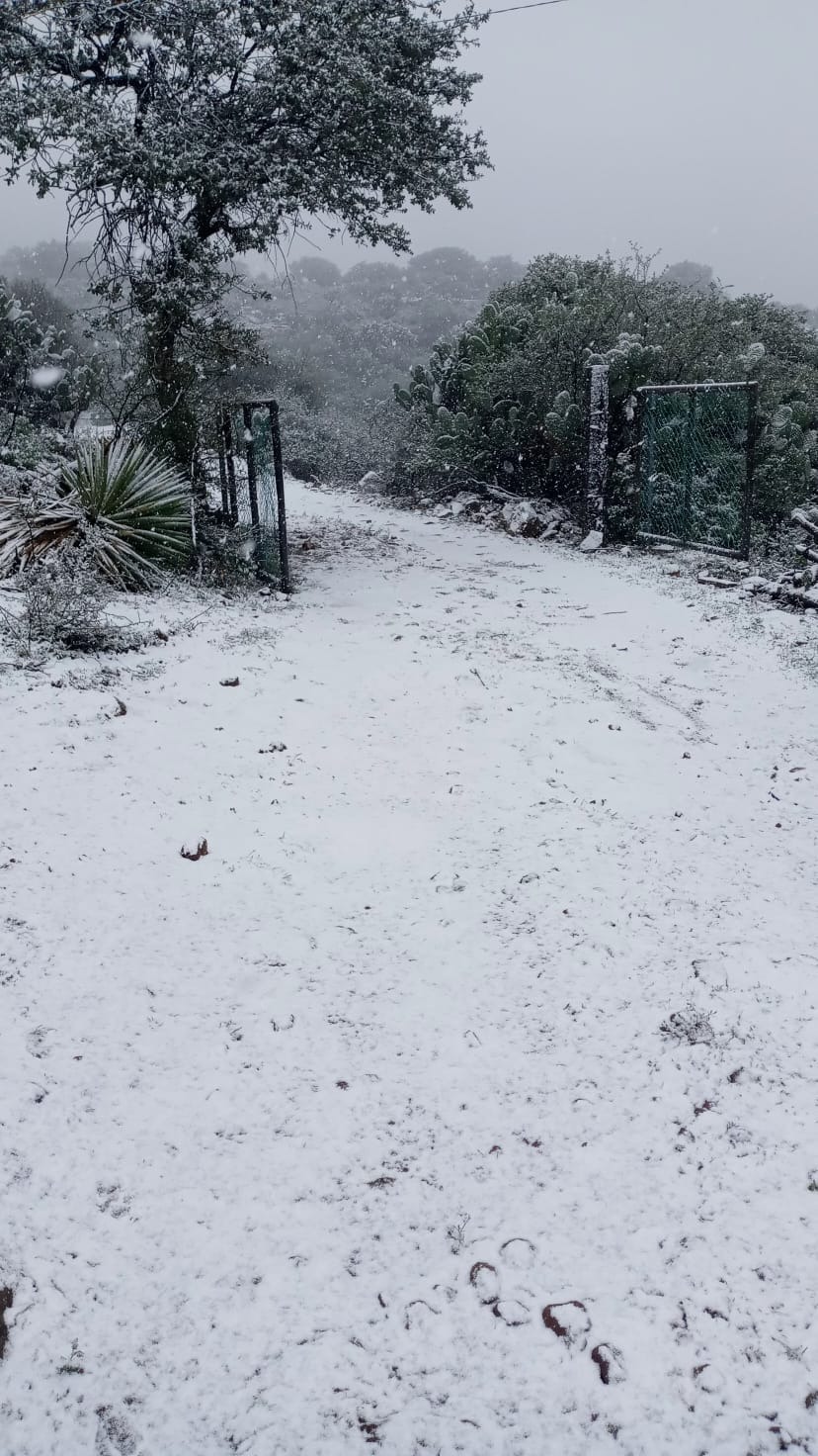 Clima en Durango.