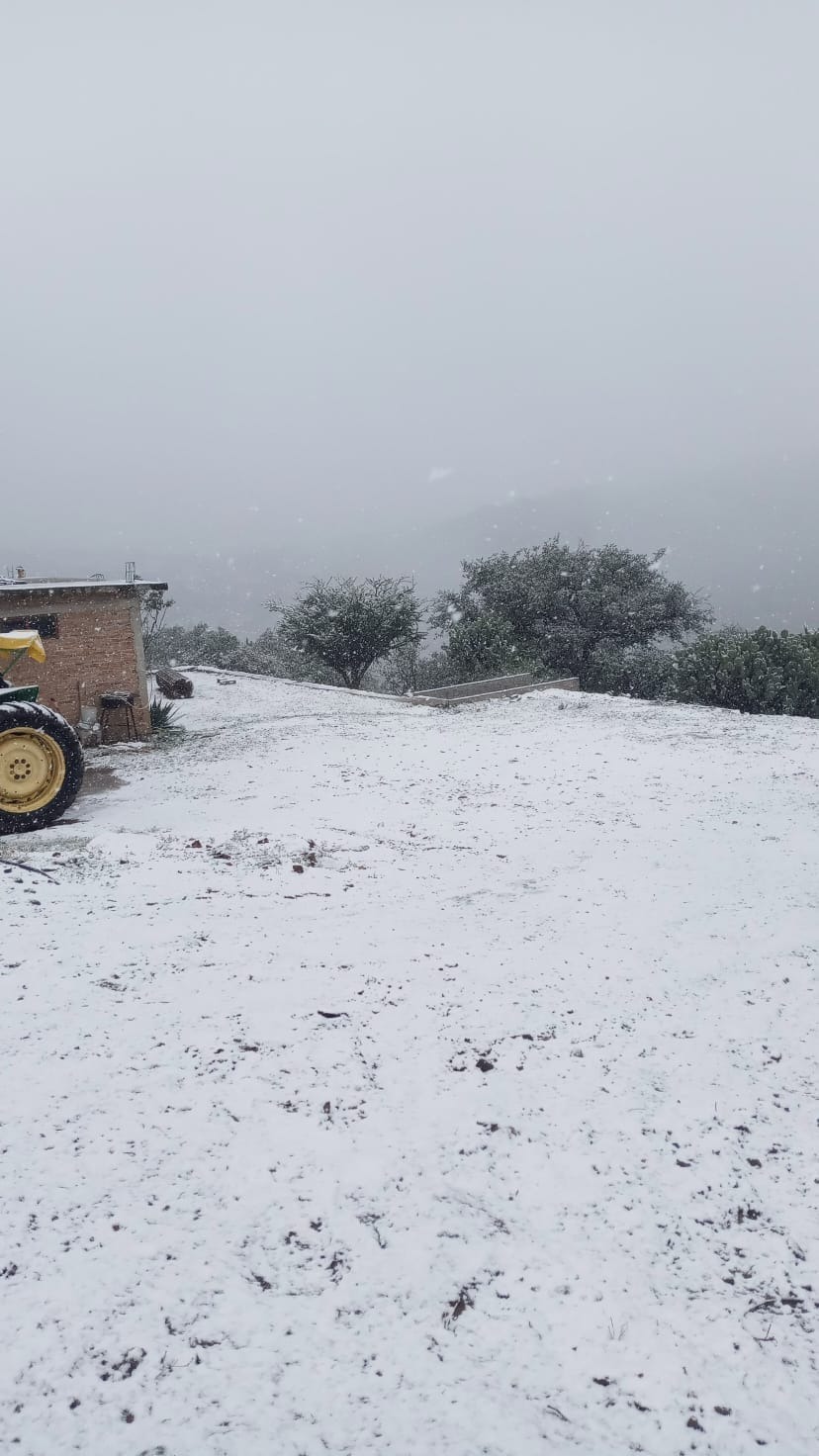 Nevadas en Durango.